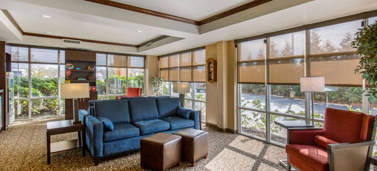 锡福德舒适全套房酒店(Comfort Suites)图片