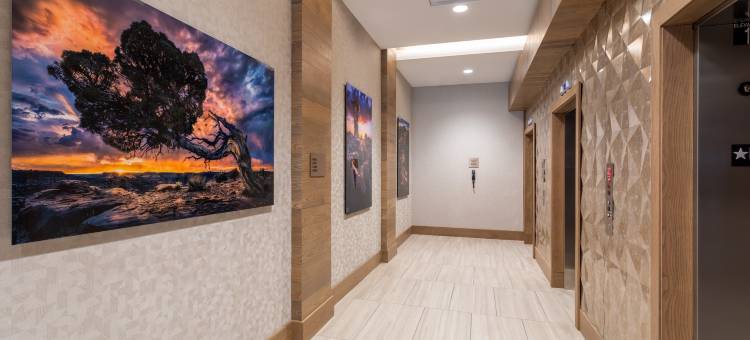 新墨西哥州阿尔伯克基市中心希尔顿花园酒店(Hilton Garden Inn Albuquerque Downtown)图片