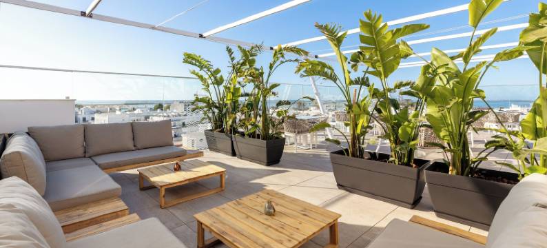 纯概念酒店(Pure  Concept Hotel)图片