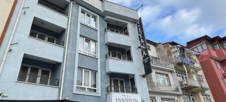 维亚纳精品酒店(Viyana Boutique Otel)图片