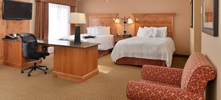 水牛城欢朋套房酒店(Hampton Inn & Suites Buffalo)图片