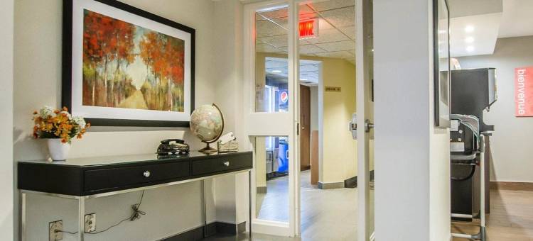 舒适酒店(Comfort Inn)图片