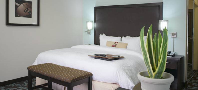 纳什维尔欧普兰欢朋酒店(Hampton Inn & Suites Nashville @ Opryland)图片