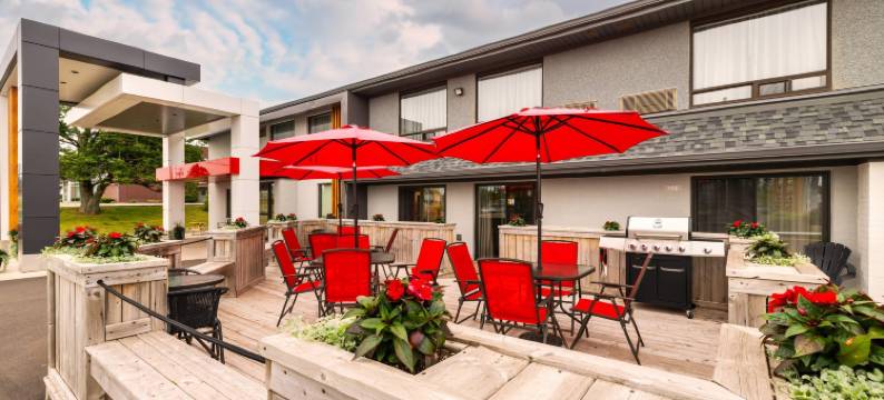 舒适酒店(Comfort Inn)图片