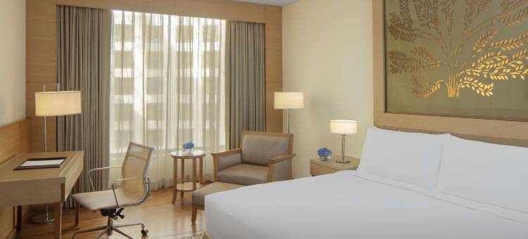 新德里德瓦卡丽笙酒店(Radisson Blu New Delhi Dwarka)图片