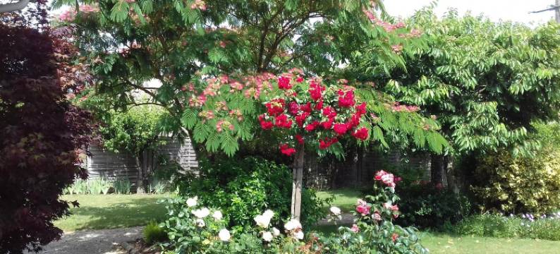 勒米里尔住宿加早餐旅馆(Chambres d'Hôtes le Mûrier)图片