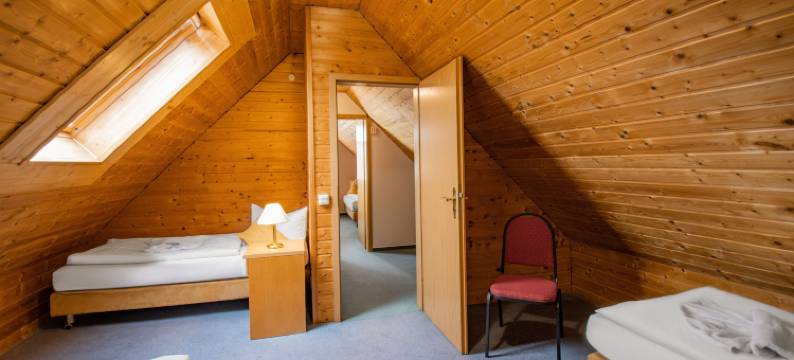 茨维考摩泽尔加尼酒店(Hotel Garni Zwickau-Mosel)图片