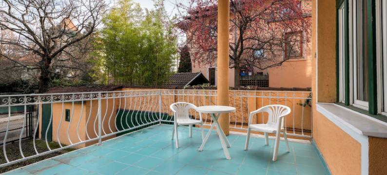 克里斯塔尔别墅酒店(Hotel Kristal Gellért Hill)图片