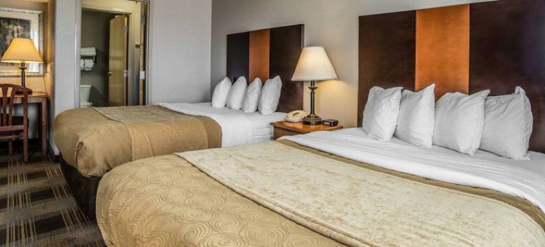 卡斯珀美茵斯坦套房酒店(MainStay Suites Casper)图片