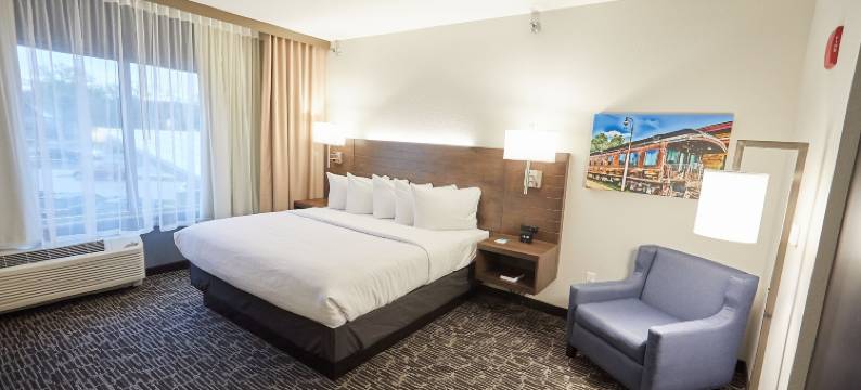 冈德森套房酒店(Gundersen Hotel & Suites)图片