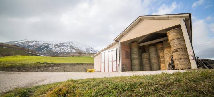 西毕里尼农场酒店(La Fattoria dei Sibillini)图片