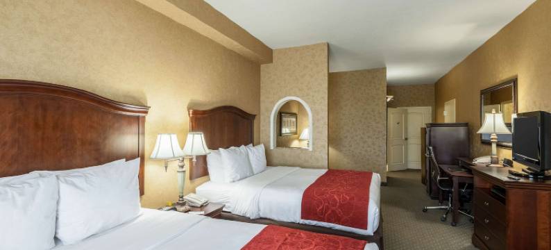 舒适套房酒店-阿拉莫/河滨步道(Comfort Suites Alamo Riverwalk)图片