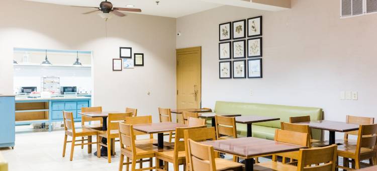 海伦丽怡酒店(Country Inn & Suites by Radisson, Helen, GA)图片