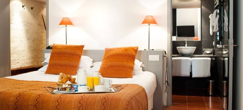 圣路易斯科尔伊特酒店(Hôtel Cloitre Saint Louis Avignon)图片