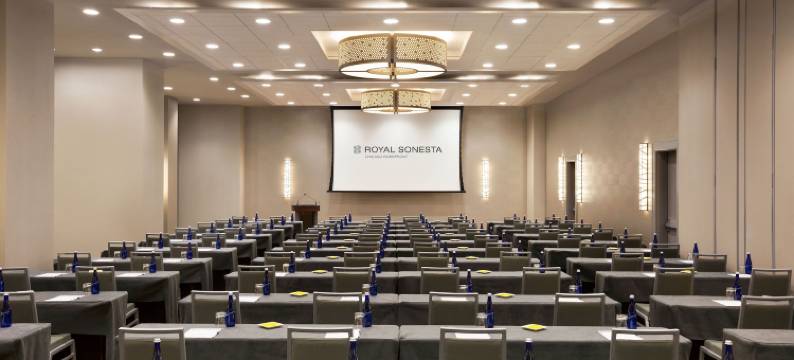 芝加哥皇家索内斯塔市中心酒店(The Royal Sonesta Chicago Downtown)图片