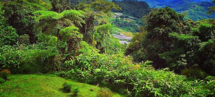 J 住宅(J Residence)图片