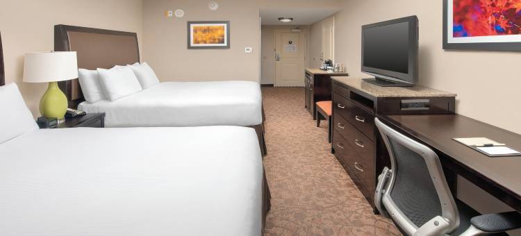 斯特林杜勒斯机场希尔顿逸林酒店(DoubleTree by Hilton Dulles Airport - Sterling)图片