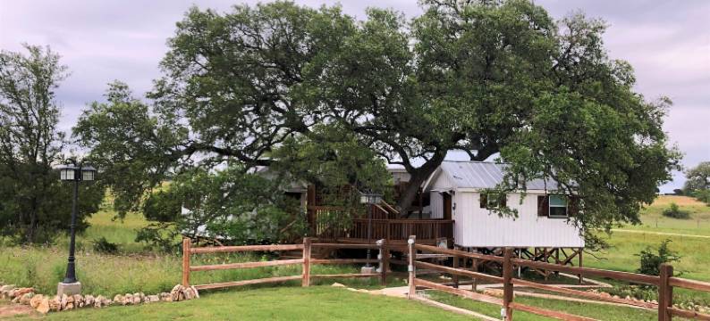 亚历山德小溪路酒店(The Alexander at Creek Road)图片