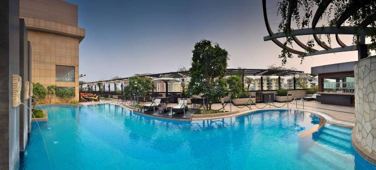 古尔冈丽亭酒店(Park Plaza Gurugram, India)图片