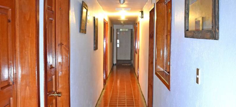 圣路易斯酒店(Hotel San Luis)图片