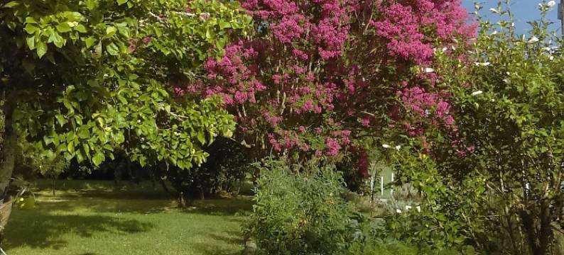 杜尔别墅酒店(Douvilla)图片