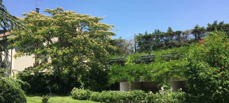 公园别墅家庭旅馆(B&B Villa Al Parco)图片