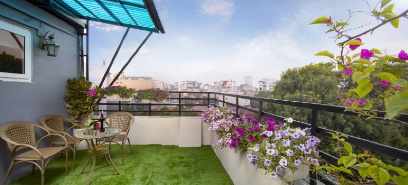 河内莲花精品酒店(Hanoi Lotus Boutique Hotel)图片