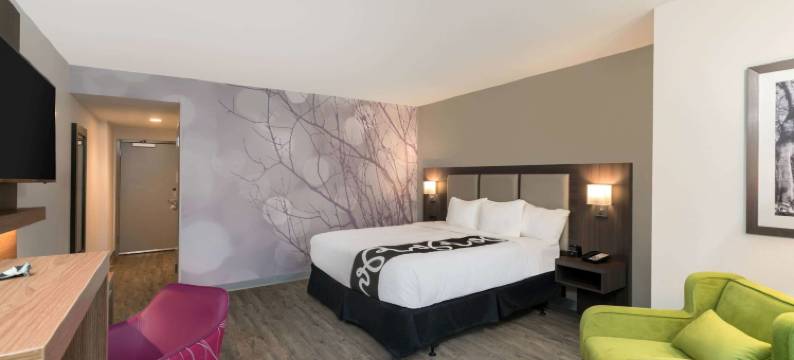 莫比尔拉昆塔温德姆套房酒店(La Quinta Inn & Suites by Wyndham Mobile)图片