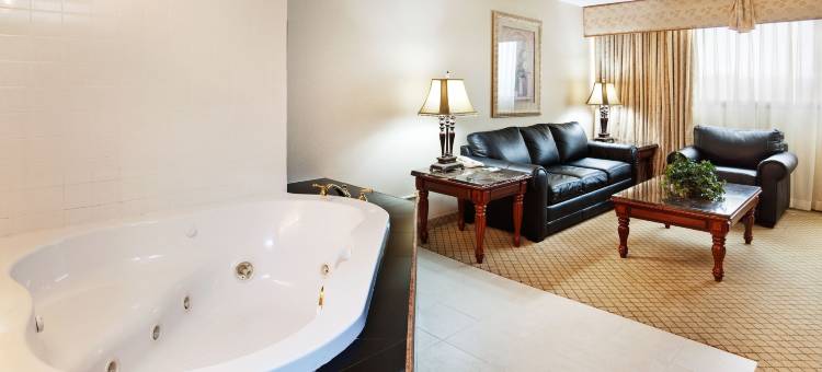 Holiday Inn 约翰逊城(Holiday Inn Johnson City)图片