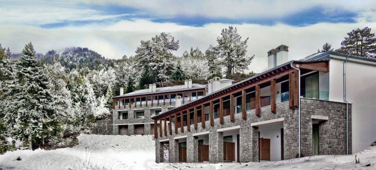 林大迈措翁大酒店(Grand Forest Metsovo - Leading Hotels of the World)图片