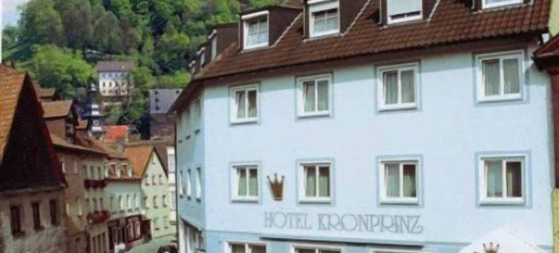 卡隆普林兹酒店(Hotel Kronprinz)图片