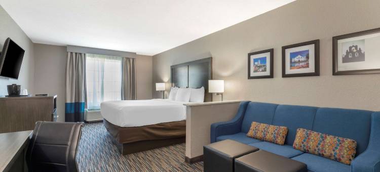 舒适套房酒店-近医疗中心(Comfort Inn & Suites Near Medical Center)图片