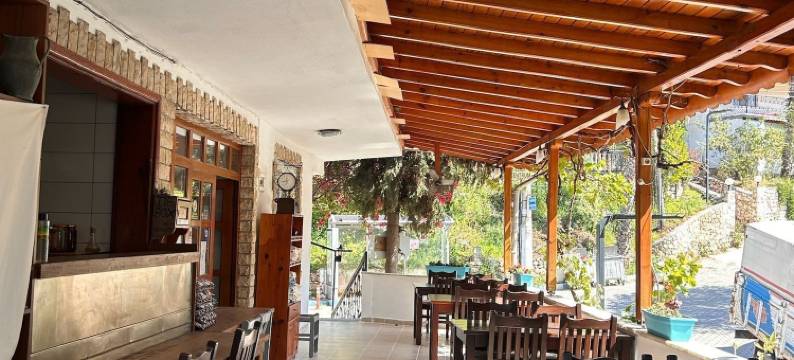 黄金旅馆(Golden Pension)图片