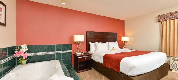 舒适套房酒店南机场店(Comfort Inn & Suites Airport South)图片