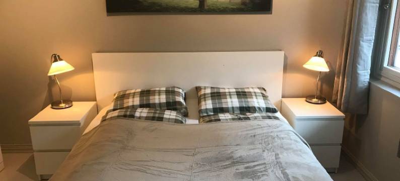 诺托登森特伦公寓 2 号酒店(Notodden Sentrum Apartment No 2)图片