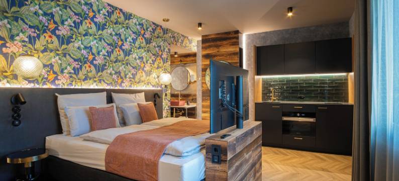 阿米亚酒店辛根(Amia Hotel Singen)图片