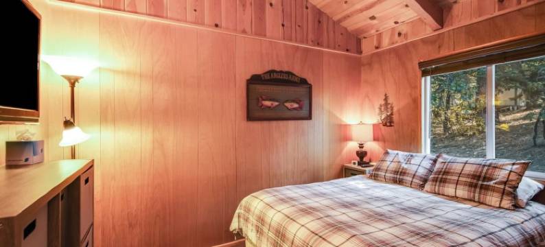 步行到高山滑梯 - 几乎有景观(Walk to Alpine Slide - Almost a View)图片