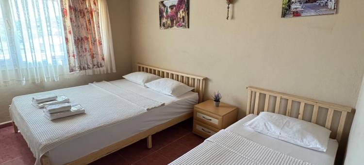 尼斯旅馆(Nese Hotel)图片