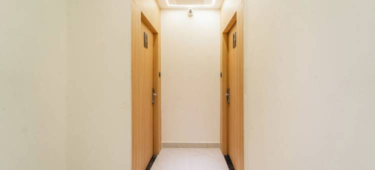 Treebo尼尔Orch(Treebo Neel Orchid)图片