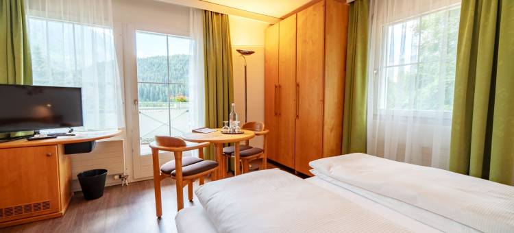 阿尔塔纳典型瑞士酒店(Typically Swiss Hotel Altana)图片