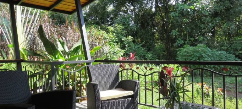 帕玛士绿洲酒店(Oasis de las Palmas)图片