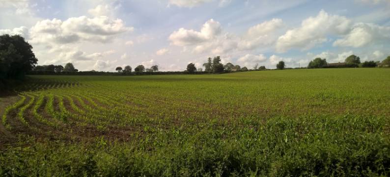 比奇斯农舍乡村乡间房屋及客房(Beeches Farmhouse Country Cottages & Rooms)图片