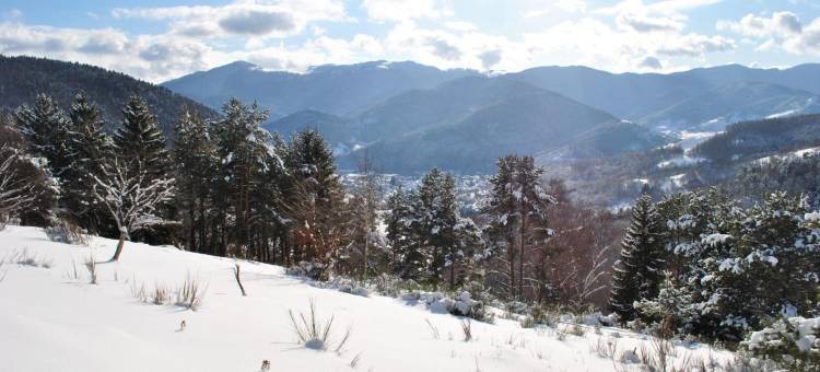 米尔巴舍尔客栈(Logis Auberge du Mehrbachel - Hôtel & Restaurant)图片