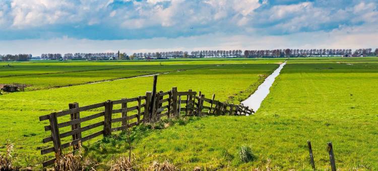 阿姆斯特尔芬大酒店(Grand Hotel Amstelveen)图片