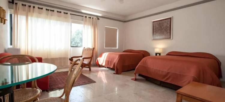 狂兰酒店(Orchidelirium Casa Hotel & Salud Estética)图片