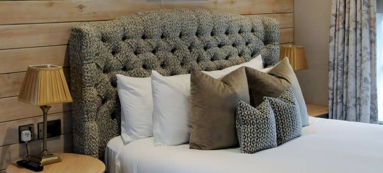 马尔帕斯的狮子(The Lion at Malpas)图片