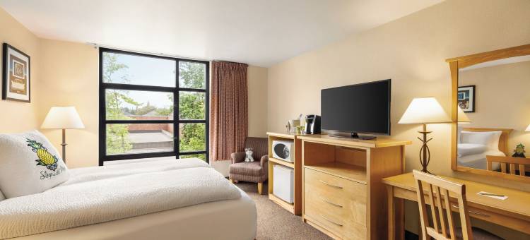 Staypineapple-大学旅馆-西雅图大学区(Staypineapple, University Inn, University District Seattle)图片