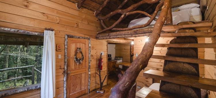 回罗回罗山林小屋(Huilo Huilo Cabañas del Bosque)图片