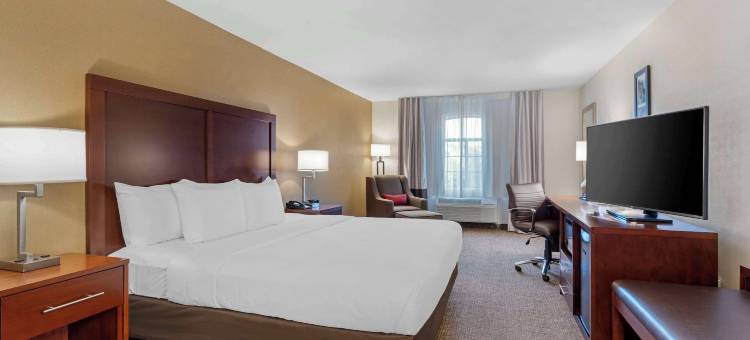 蒙特利湾马里那舒适酒店(Comfort Inn Marina on the Monterey Bay)图片