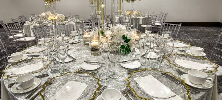 明尼阿波利斯市区皇家索尼斯塔酒店(The Royal Sonesta Minneapolis Downtown)图片